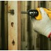 Дрель STANLEY 550 ВТ, STDR5510-RU