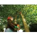 Высоторез электрический BLACK+DECKER 800 ВТ 25 см, PS7525-QS