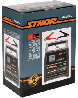 Зарядное устройство для аккумуляторов Sthor 6-12 В, для аккумуляторов до 120 Ач-foto4