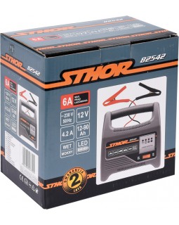 Зарядное устройство для аккумуляторов Sthor 6-12 В, для аккумуляторов до 90Ач-foto3